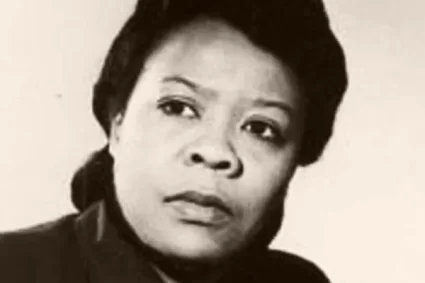 Marie van Brittan Brown, Home Surveillance Inventor