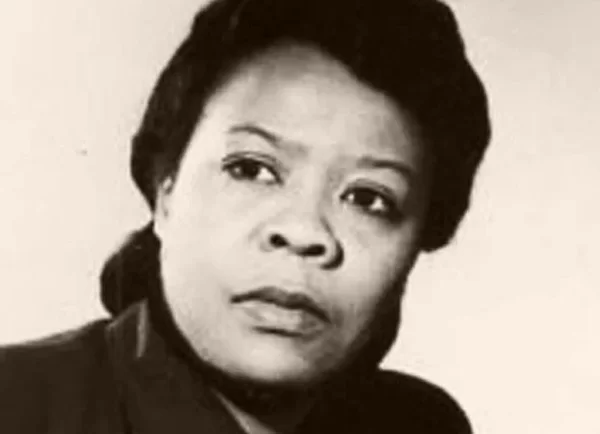 Marie van Brittan Brown, Home Surveillance Inventor