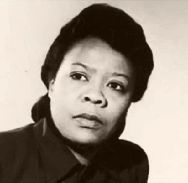 Marie van Brittan Brown, Home Surveillance Inventor